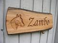 Zambo 1